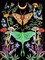 Butterfly Mushroom Diamond Art Kits,5D,Moon Diamond Dot Flower, Luna Moth DIY Small Diamond Painting Gem Art Craft Accessories for Home Wall Decor